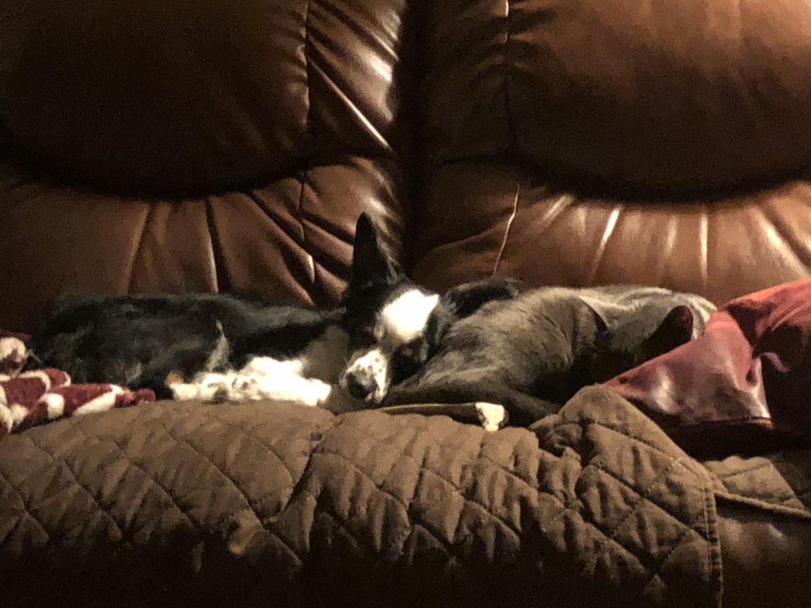 B0B00785-226A-4E39-9747-B562CFD5D18D.jpeg B0B00785-226A-4E39-9747-B562CFD5D18D.jpeg