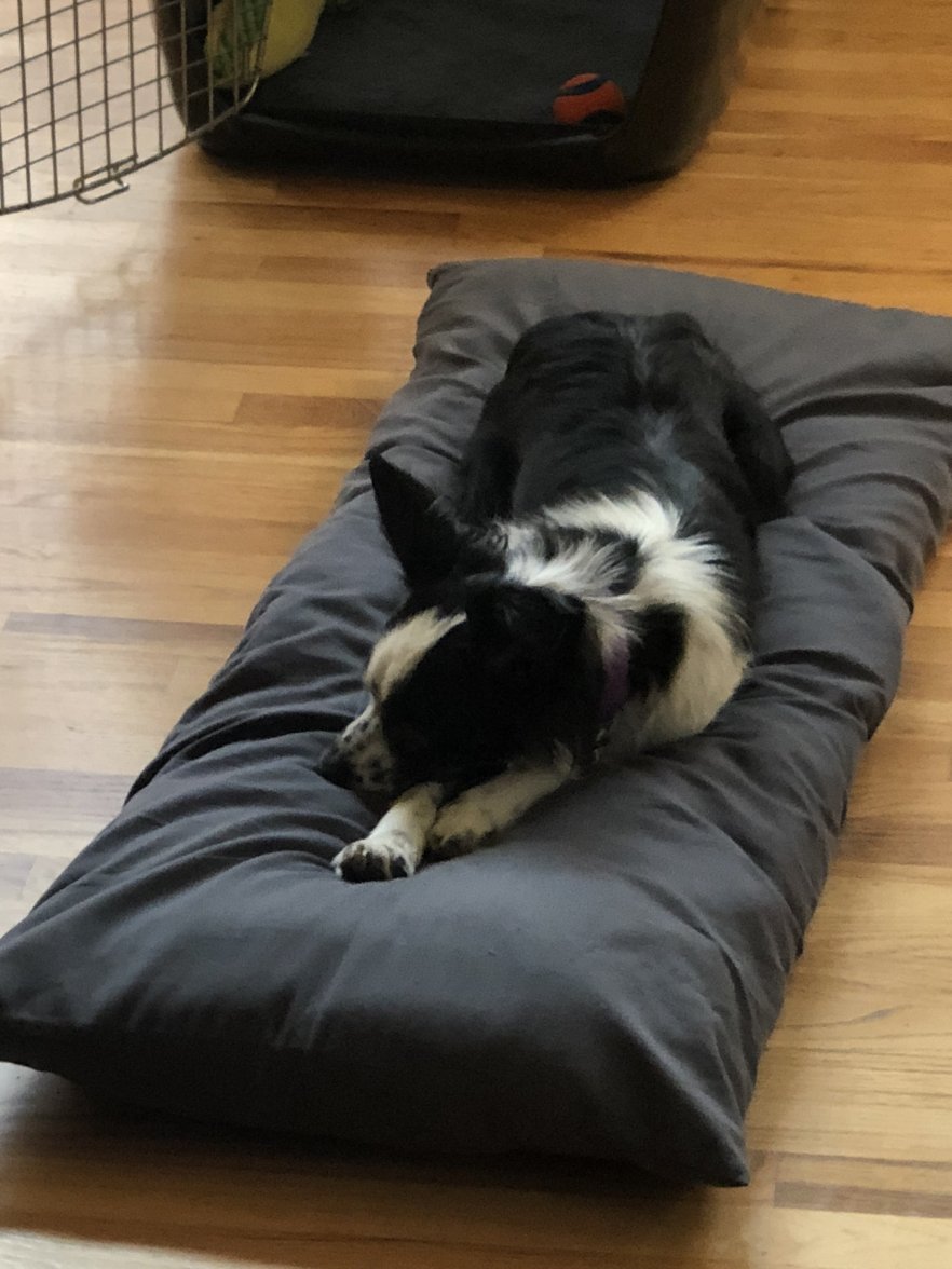 241C4AC2-680A-4761-A226-6C91CF738596.jpeg 241C4AC2-680A-4761-A226-6C91CF738596.jpeg