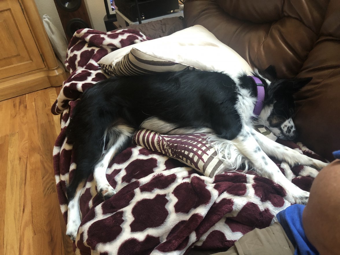 B8E43306-05D3-4B34-B2CA-BC75A86A8D9B.jpeg B8E43306-05D3-4B34-B2CA-BC75A86A8D9B.jpeg