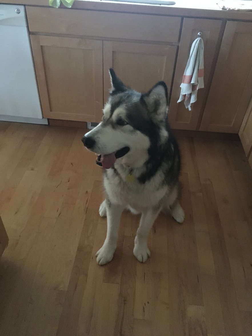 20FFEB2A-2727-4C1D-B148-04F30A27C23B.jpeg 20FFEB2A-2727-4C1D-B148-04F30A27C23B.jpeg