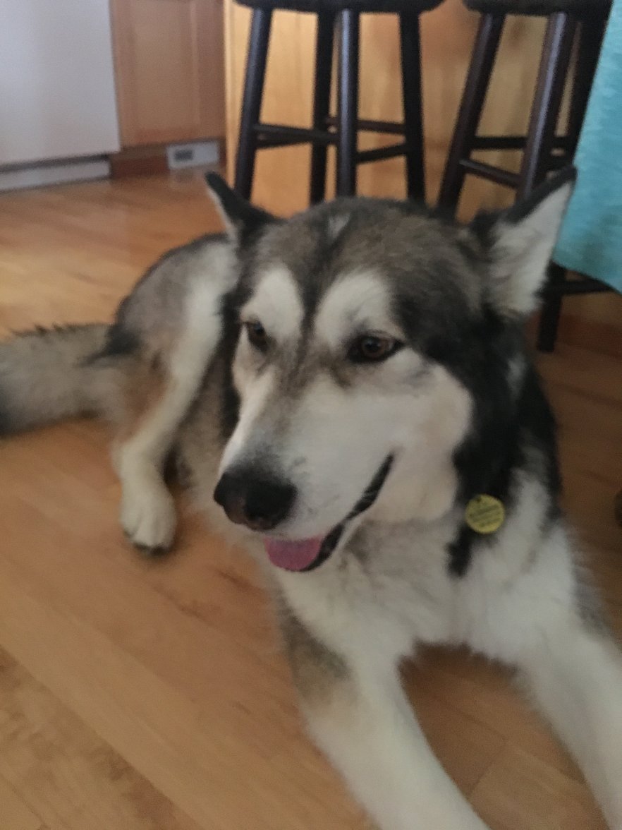 FA80DD98-BFC3-4AD2-905F-64177E49F5EA.jpeg FA80DD98-BFC3-4AD2-905F-64177E49F5EA.jpeg