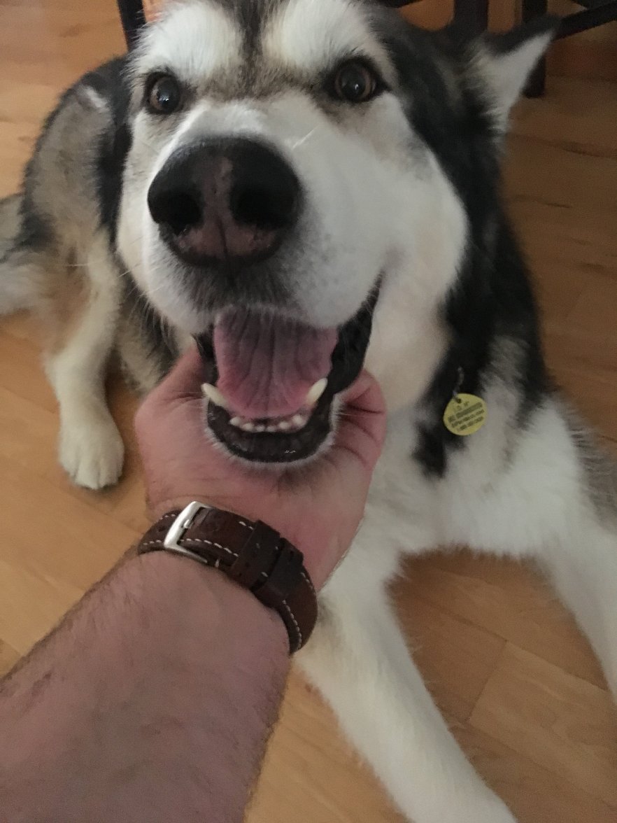 984EFA45-639A-496C-BB49-6B6A2B998980.jpeg 984EFA45-639A-496C-BB49-6B6A2B998980.jpeg