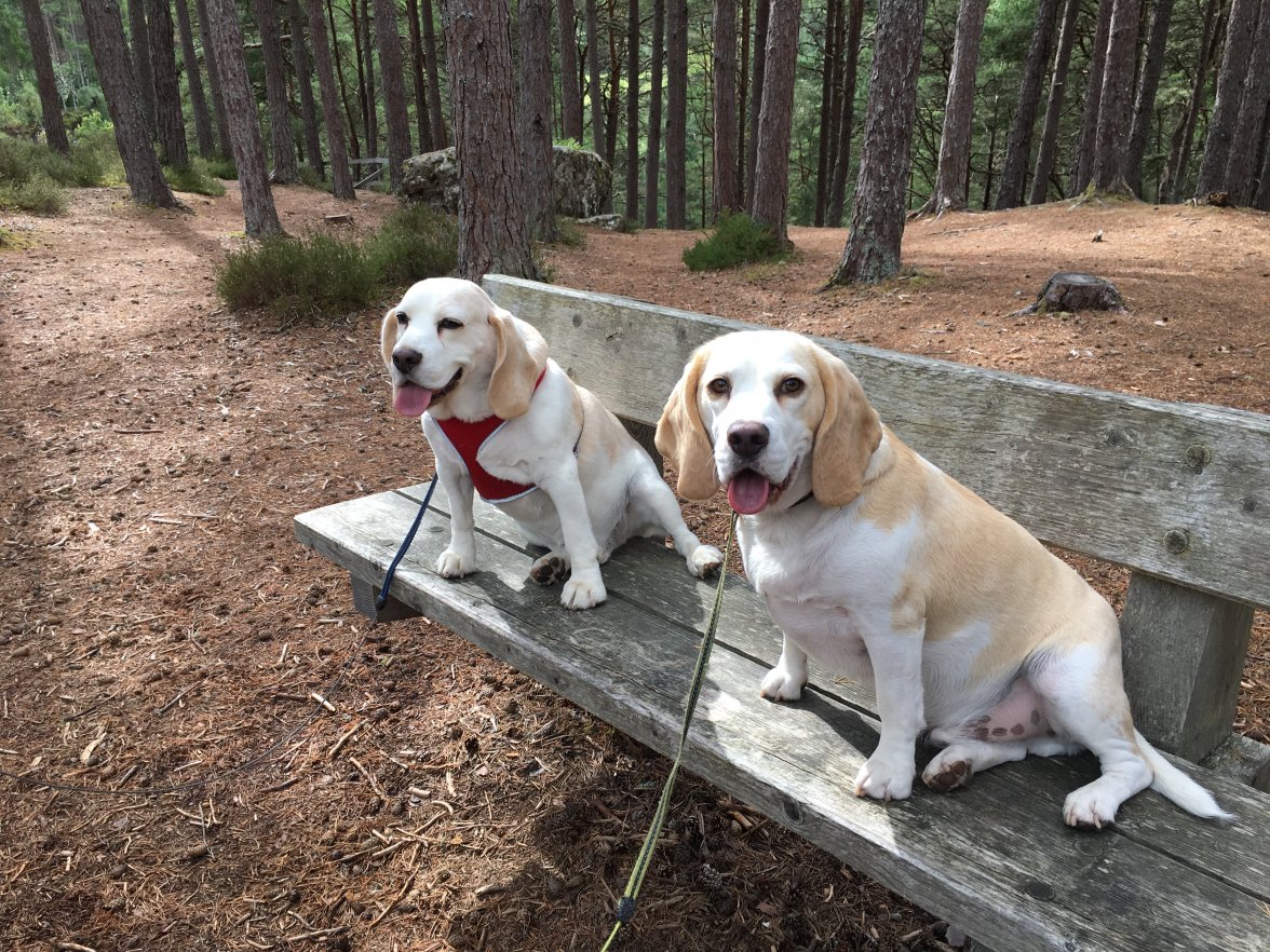 IMG_5038.JPG IMG_5038.JPG