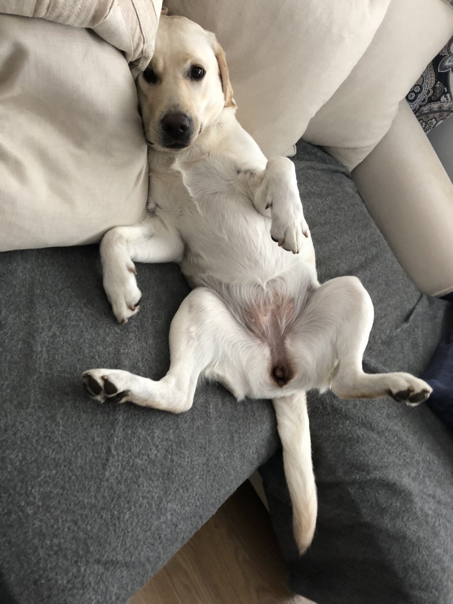 F2240074-CEE2-448B-ABC7-C5B88DD1ABFB.jpeg F2240074-CEE2-448B-ABC7-C5B88DD1ABFB.jpeg