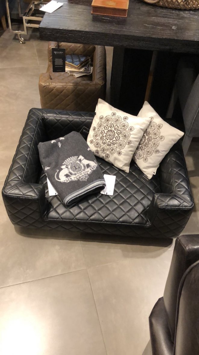 A3266EDC-DFCE-4832-AF91-193A13F4601E.jpeg A3266EDC-DFCE-4832-AF91-193A13F4601E.jpeg