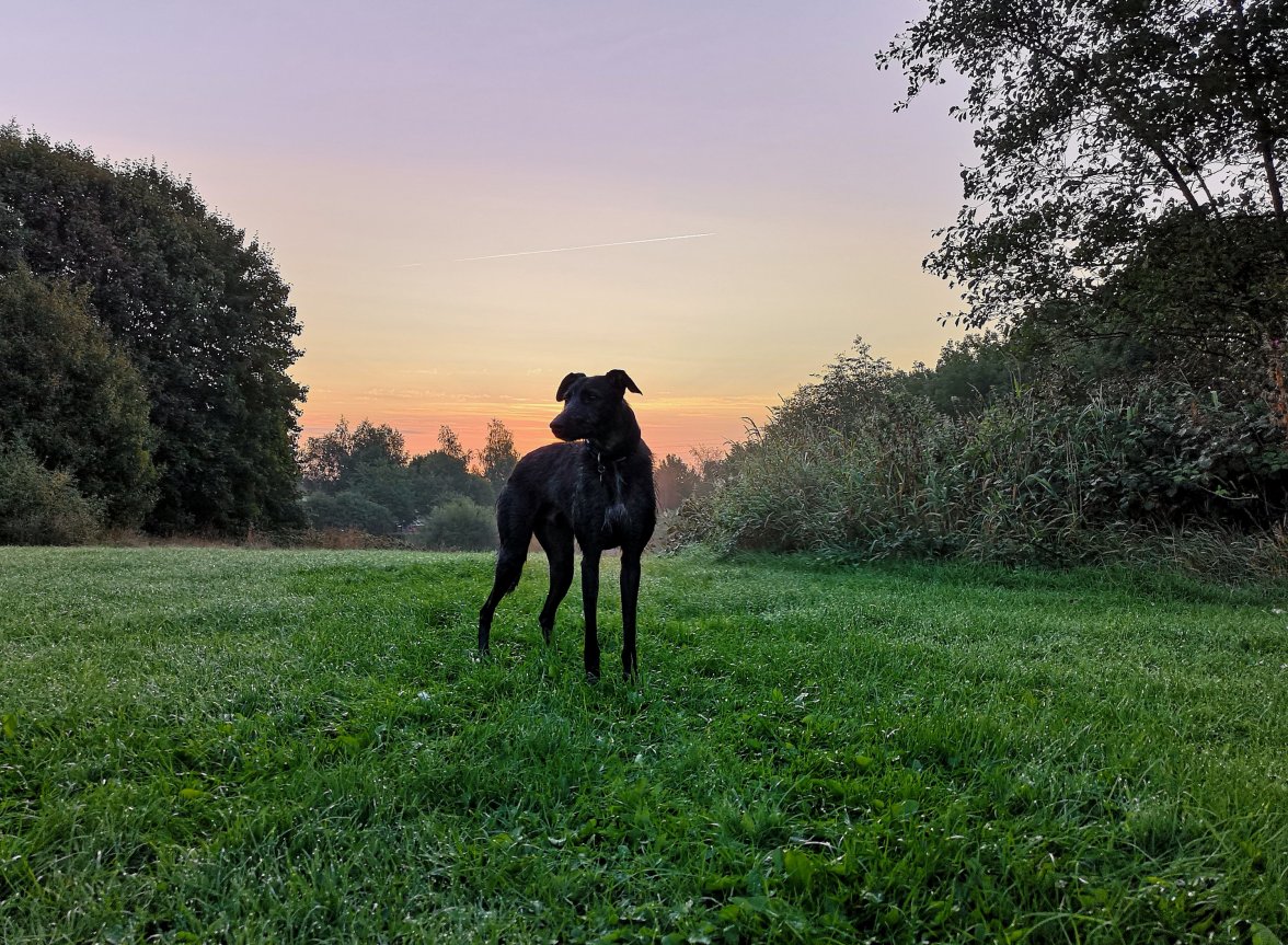 IMG_20180830_071046.jpg IMG_20180830_071046.jpg