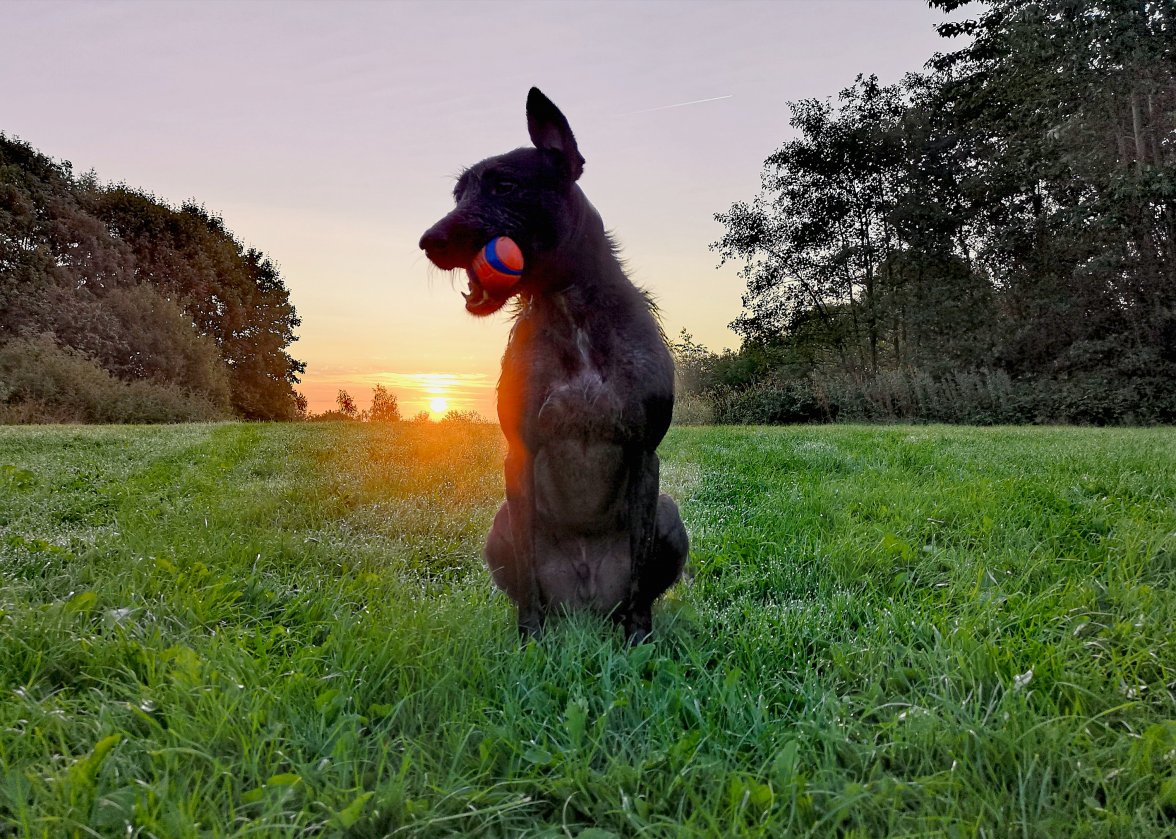 IMG_20180830_071008.jpg IMG_20180830_071008.jpg