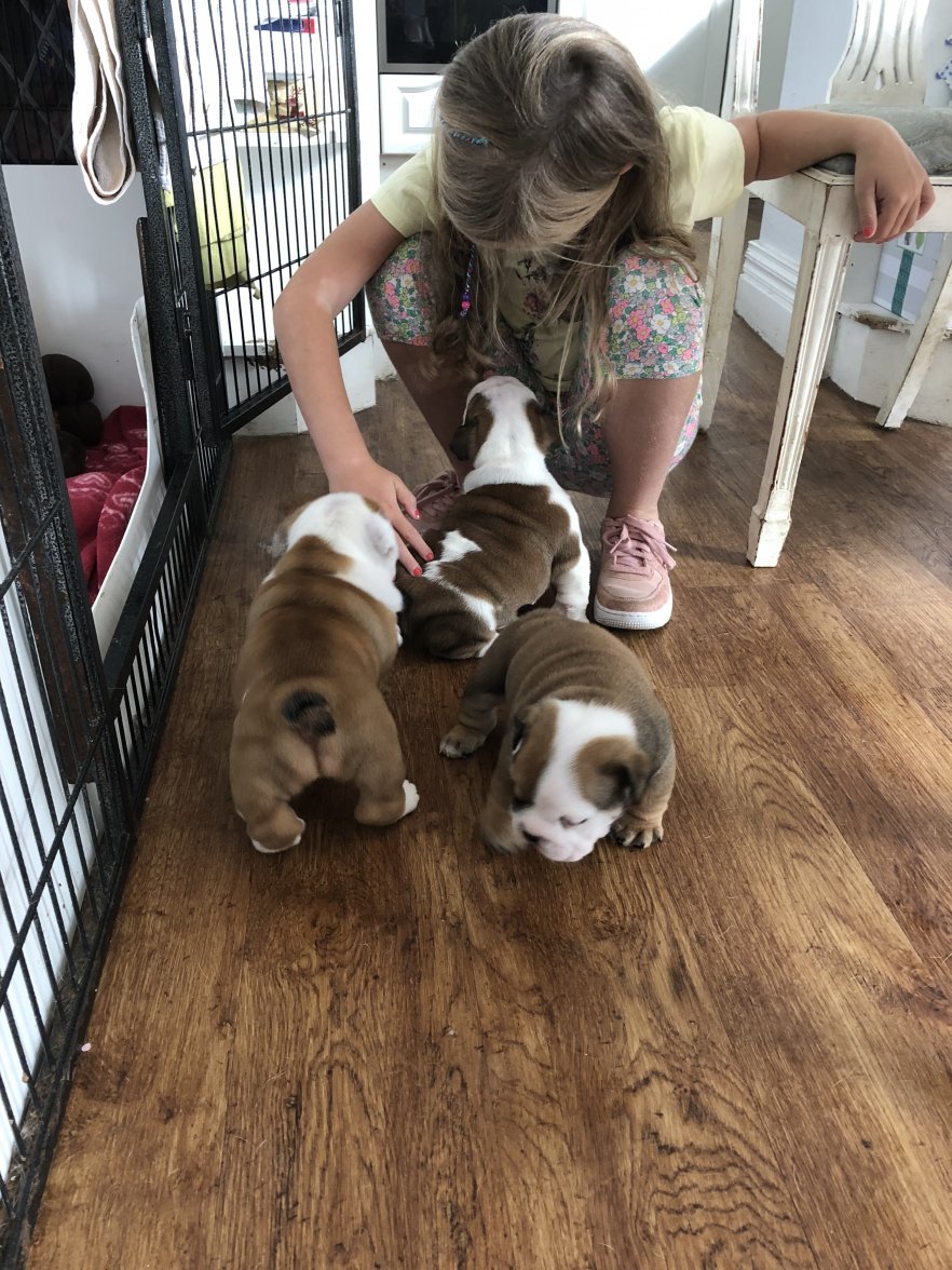 14CC1B49-3B30-45FE-9B49-4D2395D809FB.jpeg 14CC1B49-3B30-45FE-9B49-4D2395D809FB.jpeg