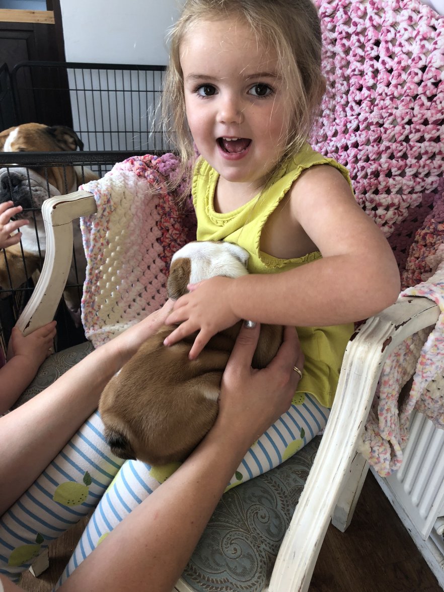 54FF7767-74B6-4B10-A9C4-F293AD5AE46F.jpeg 54FF7767-74B6-4B10-A9C4-F293AD5AE46F.jpeg