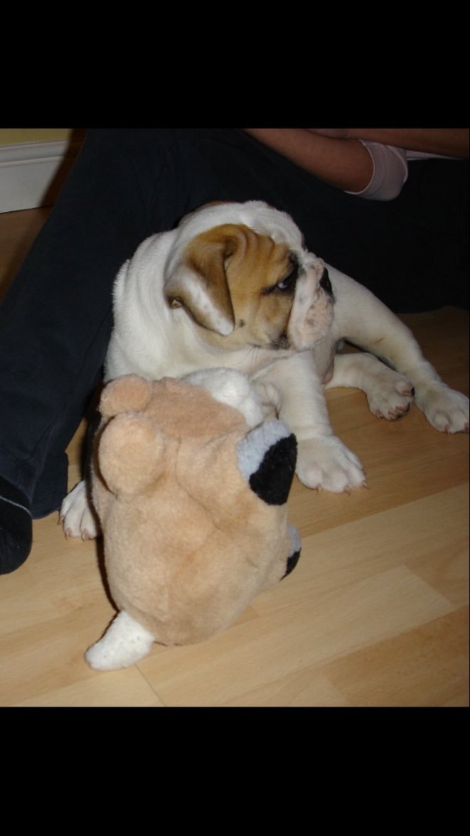 IMG_0936.JPG IMG_0936.JPG