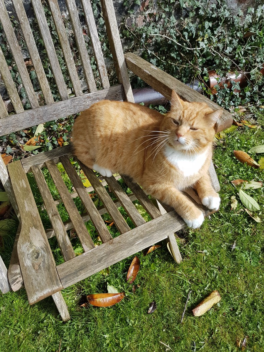 7 April 2018 065.jpg