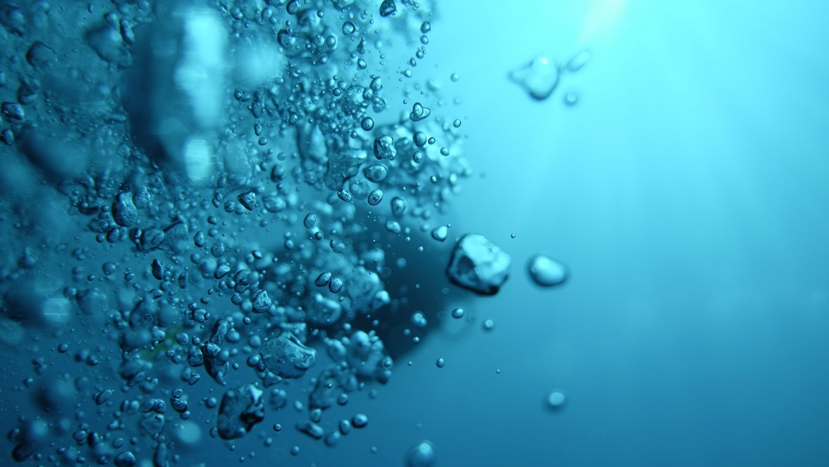 tauch2.jpg tauch2.jpg