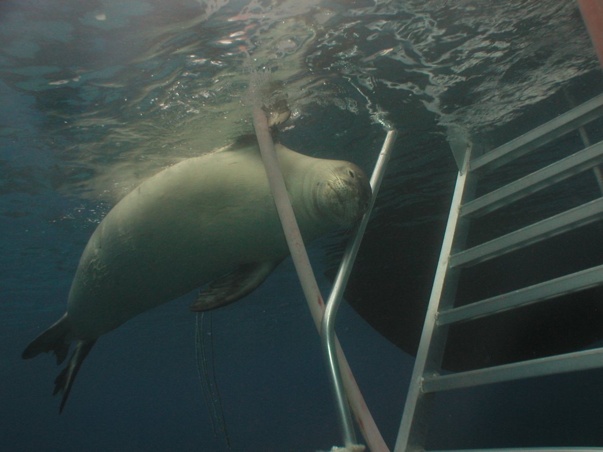 P1010061.jpg P1010061.jpg