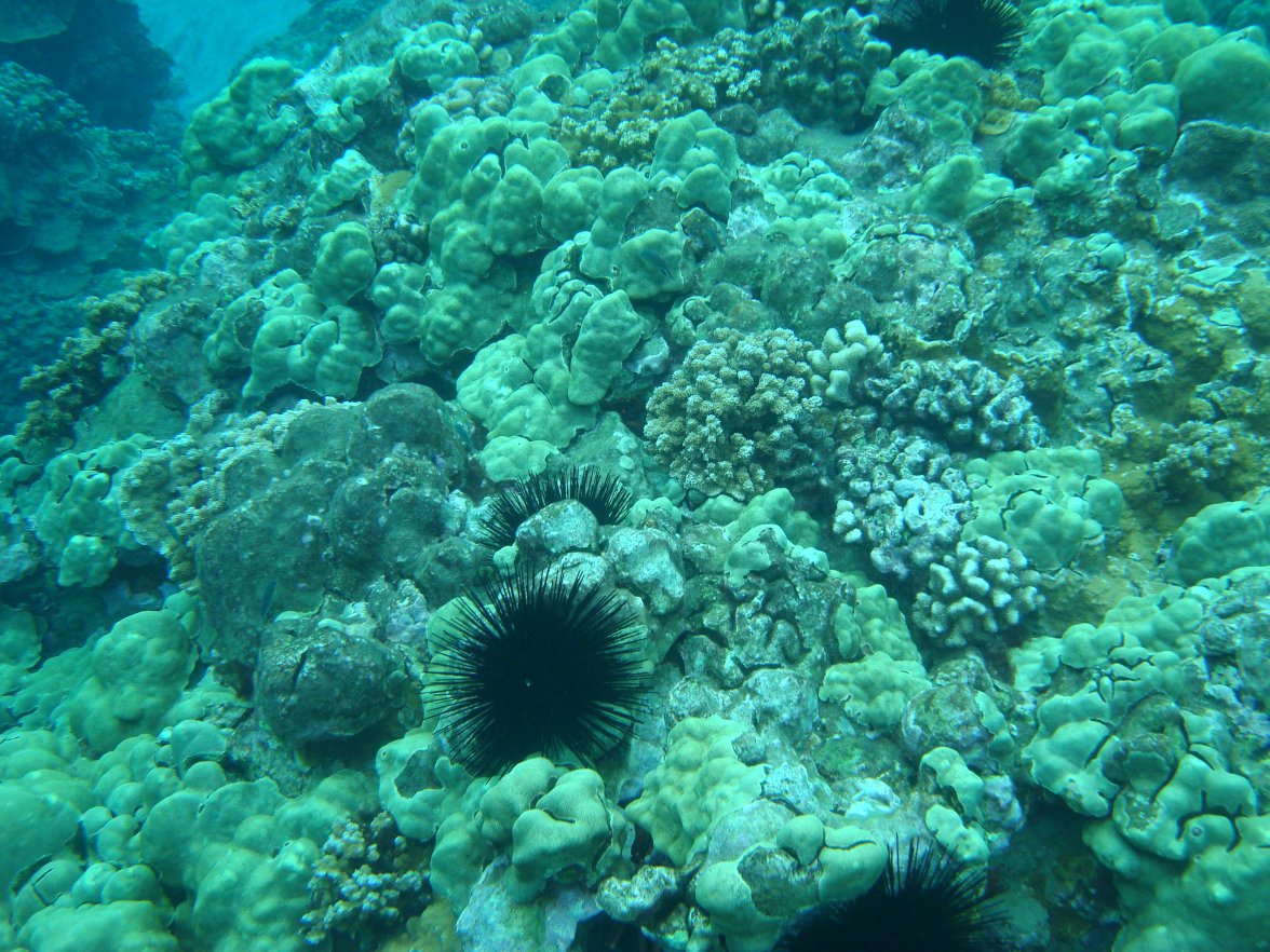 DSC09457.jpg DSC09457.jpg