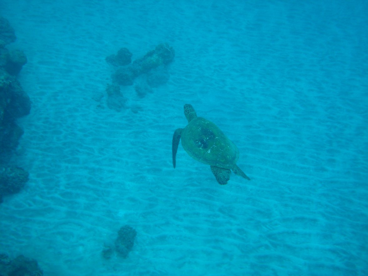 DSC09385.jpg DSC09385.jpg