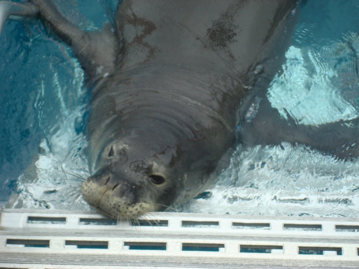 DSC09433.jpg DSC09433.jpg