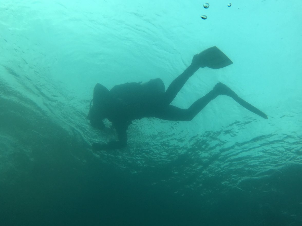 84C90F22-E5CC-4745-988F-4E739C3D54BB.jpeg 84C90F22-E5CC-4745-988F-4E739C3D54BB.jpeg