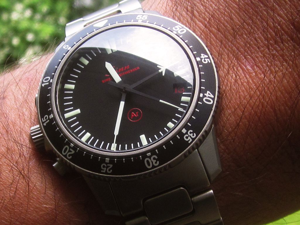 EZM1 ws 3 IMG_3914.jpg