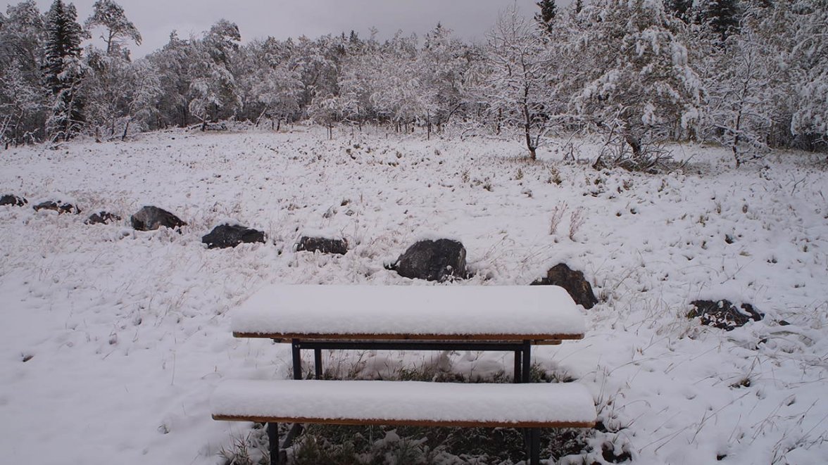 B7DCBC0E-6894-4CB0-9793-AC3F4DFED437.jpeg B7DCBC0E-6894-4CB0-9793-AC3F4DFED437.jpeg