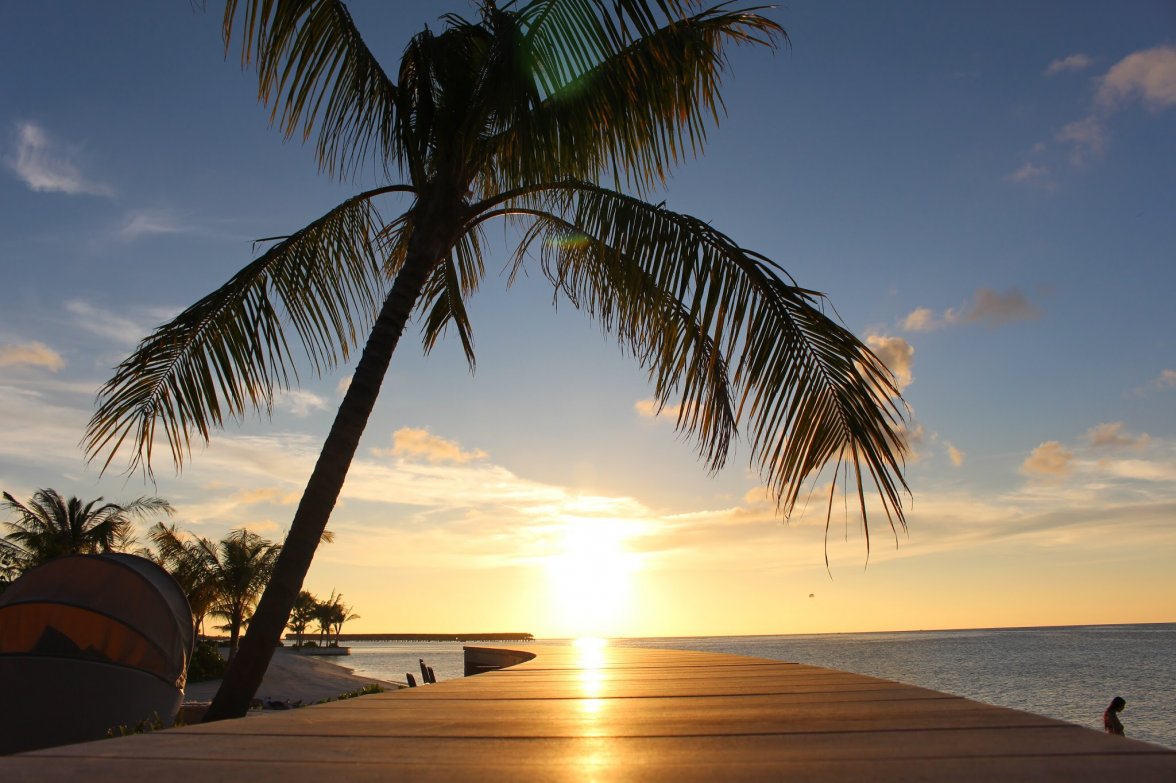 E21E1023-9AB4-4E76-B09E-01D585552D22.jpeg E21E1023-9AB4-4E76-B09E-01D585552D22.jpeg