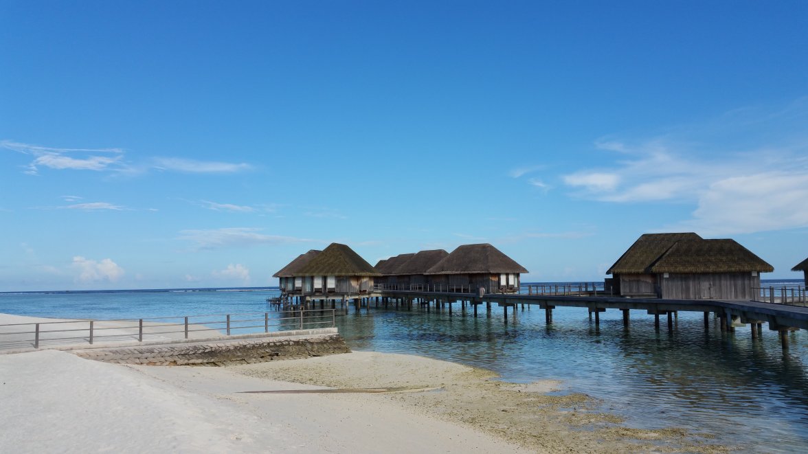 82EDDE73-8F10-4A85-A365-326F4F681C7E.jpeg 82EDDE73-8F10-4A85-A365-326F4F681C7E.jpeg