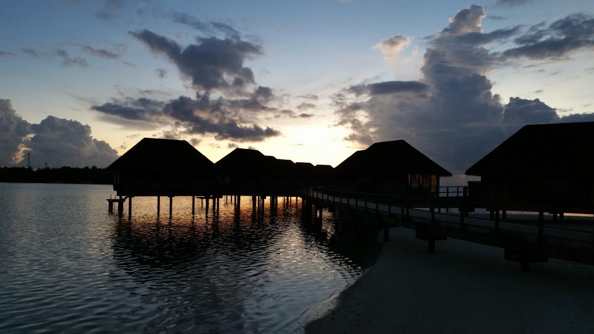 87724940-39B2-4D19-9129-963CE7FDCD35.jpeg 87724940-39B2-4D19-9129-963CE7FDCD35.jpeg