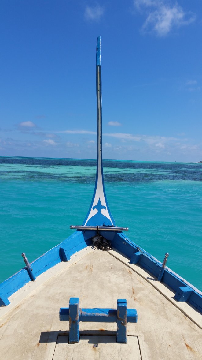 247BEF9E-23C9-4830-A797-52E9D16A740E.jpeg 247BEF9E-23C9-4830-A797-52E9D16A740E.jpeg