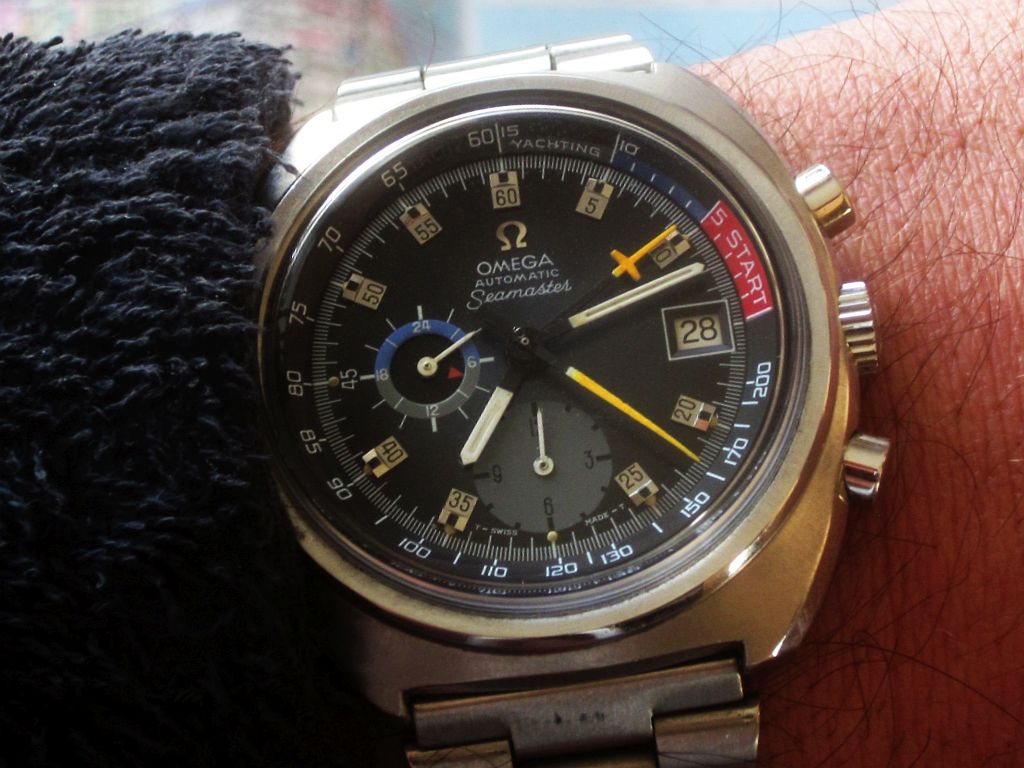 YT ws 3 shag IMG_8747.jpg