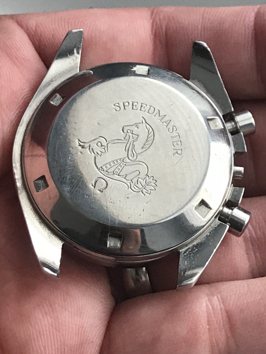 smartwatch siri
