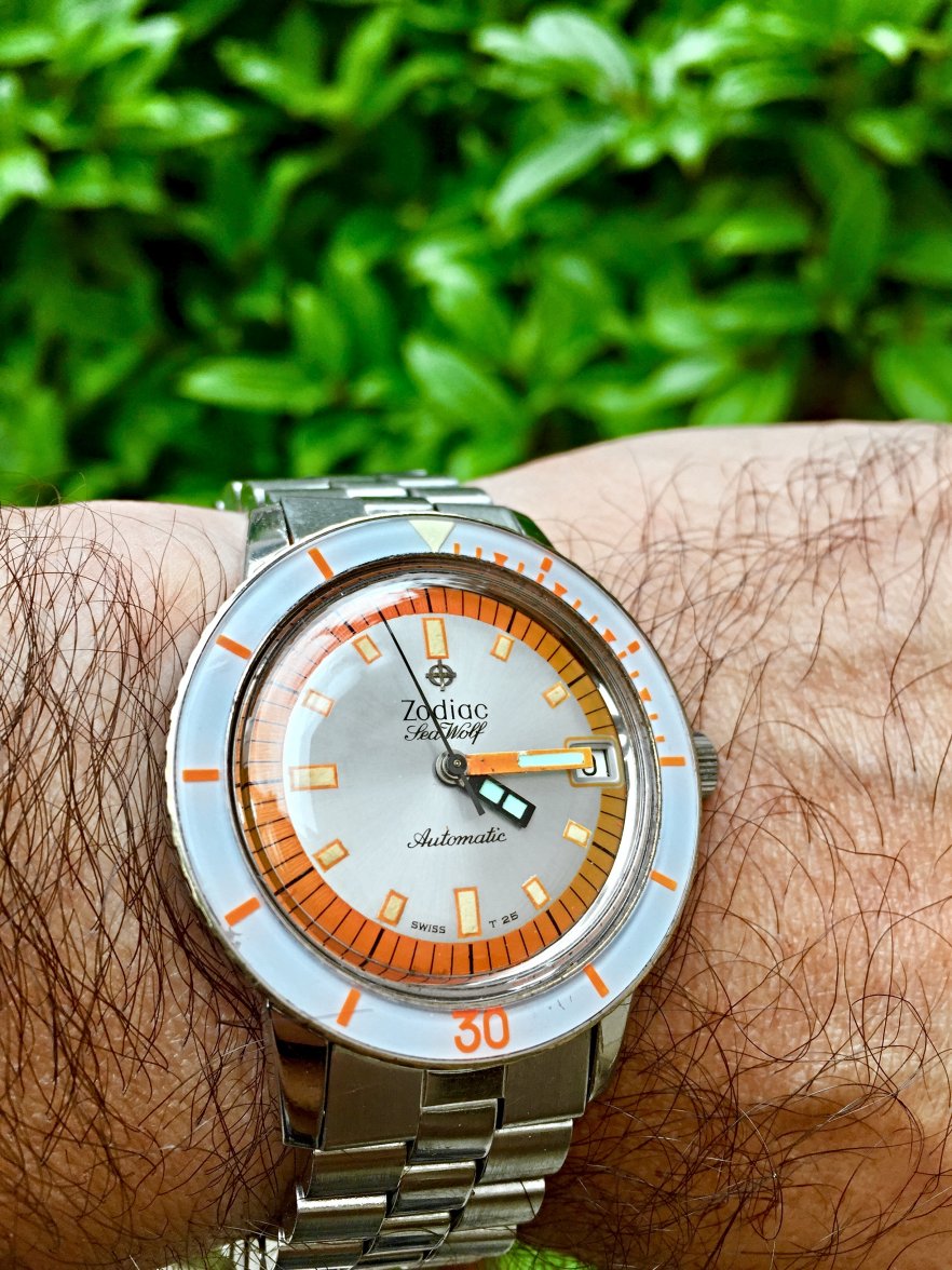 IMG_9763.jpg IMG_9763.jpg