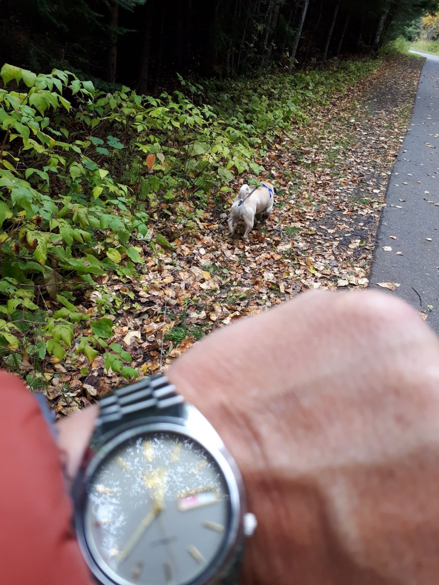 20181007_123852 (1).jpg