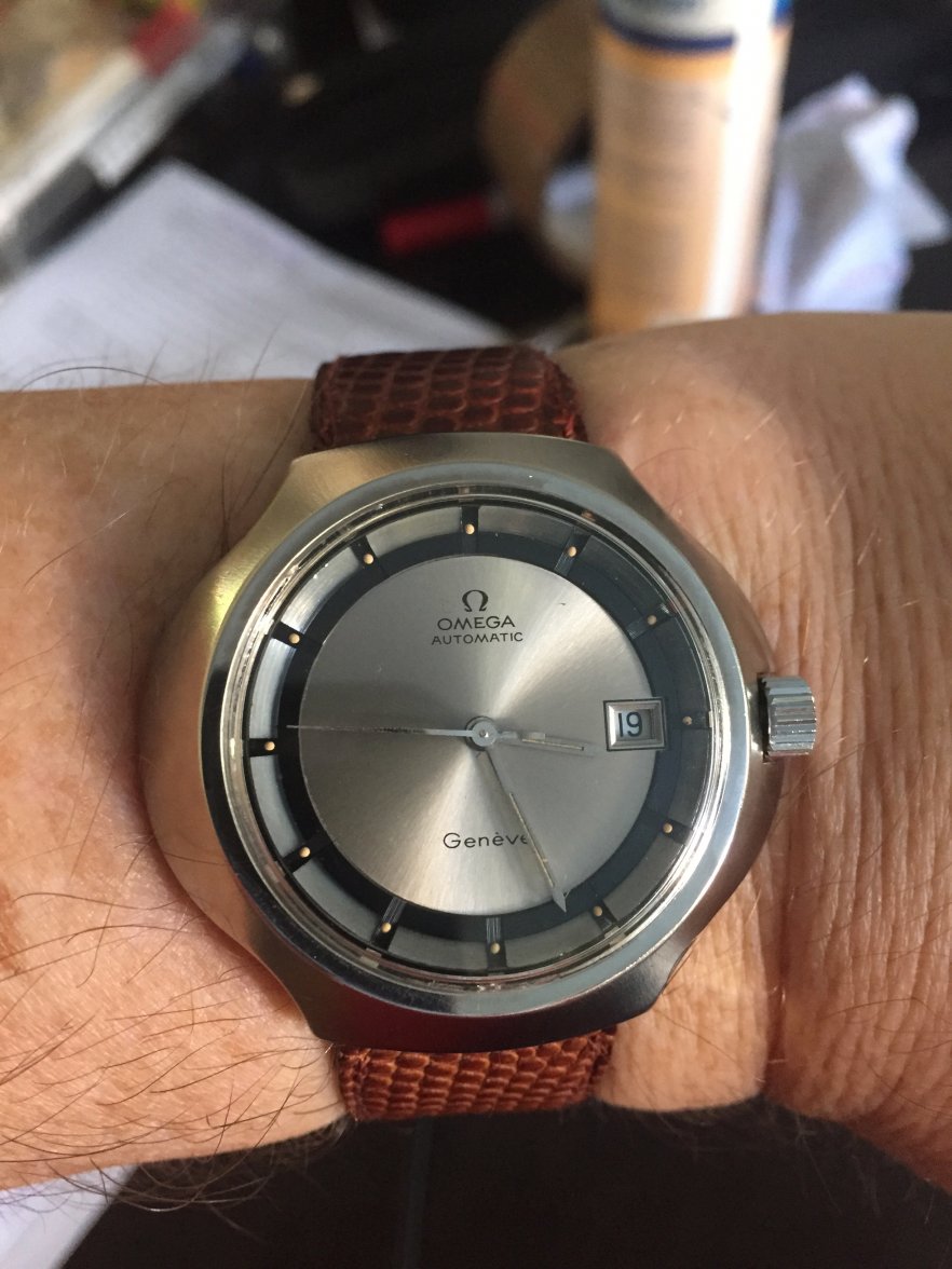 omega stingray