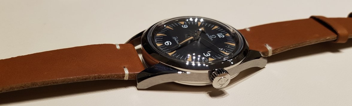 Railmaster 20180803_181210.jpg