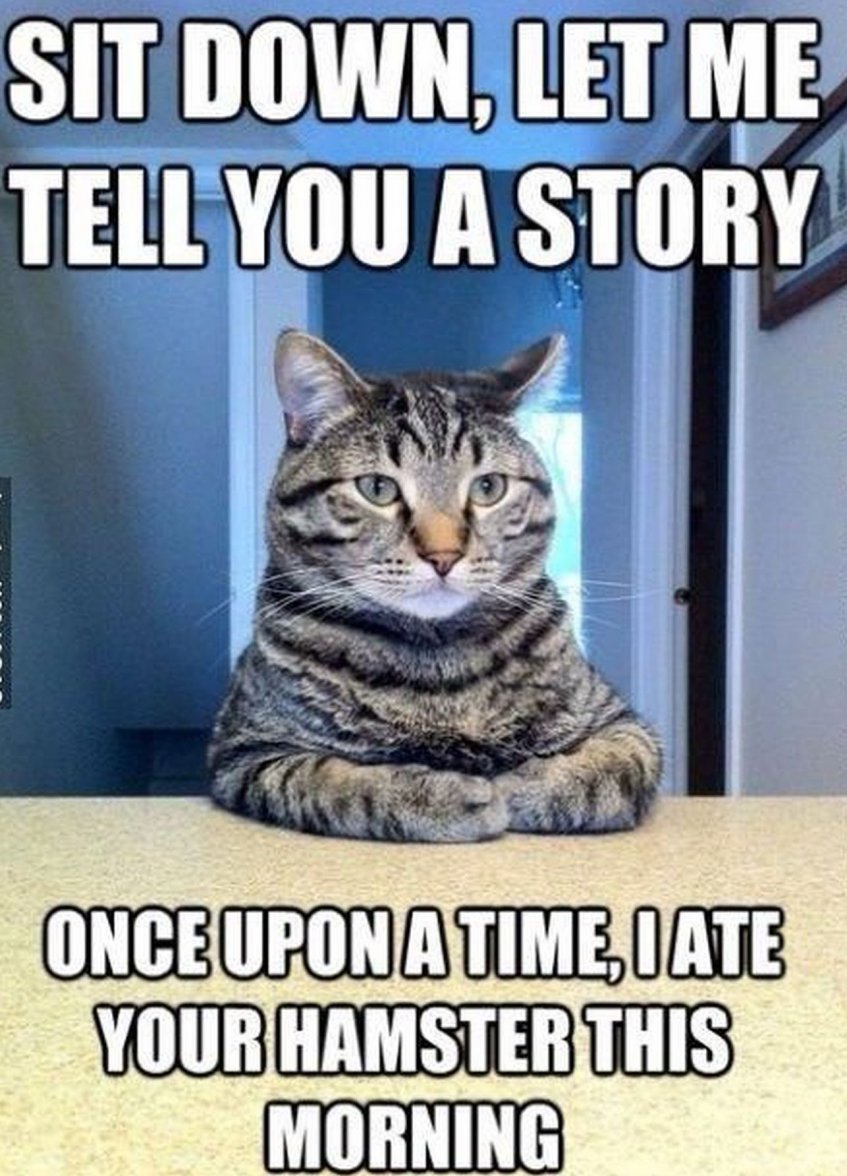 story_cat.jpg