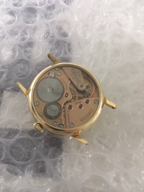 Omega back clear.jpg