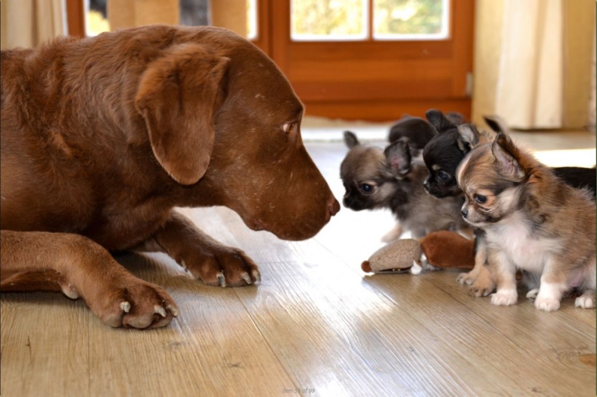 What happens next.jpg