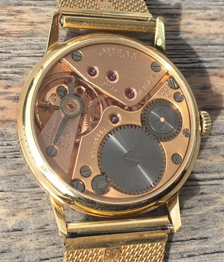 Omega back clear2.jpg