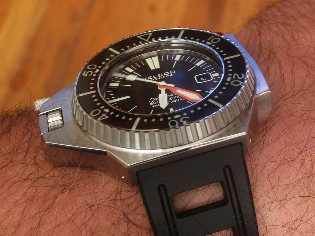 SH600 ws 2 IMG_9946.jpg