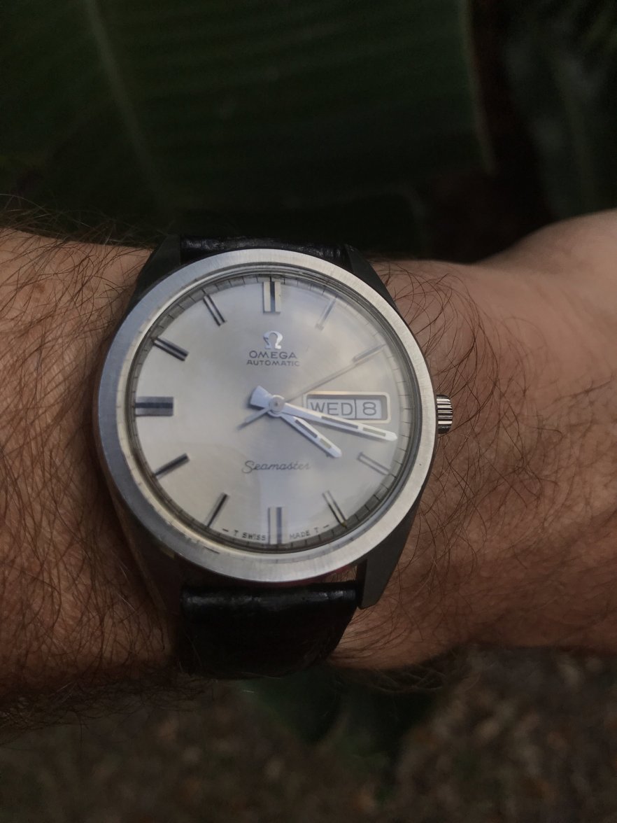 150A2374-8806-4EAB-B985-854EE892F29D.jpeg 150A2374-8806-4EAB-B985-854EE892F29D.jpeg