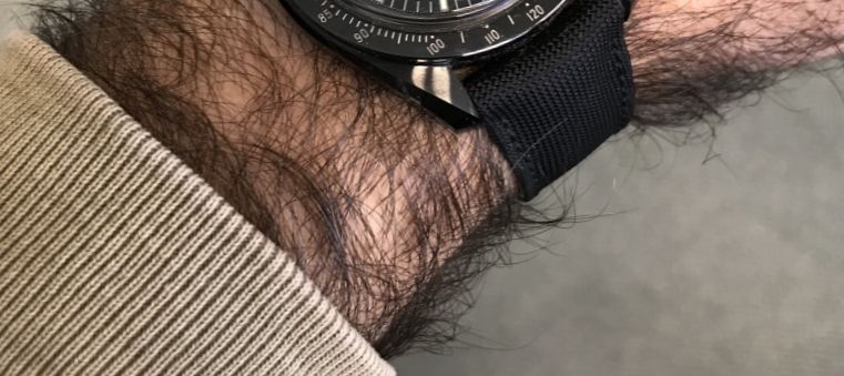 Hairy MG-Speedy c.jpg