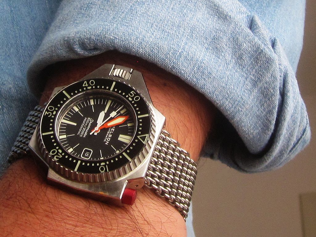 SH600 ws 3 IMG_0250.jpg