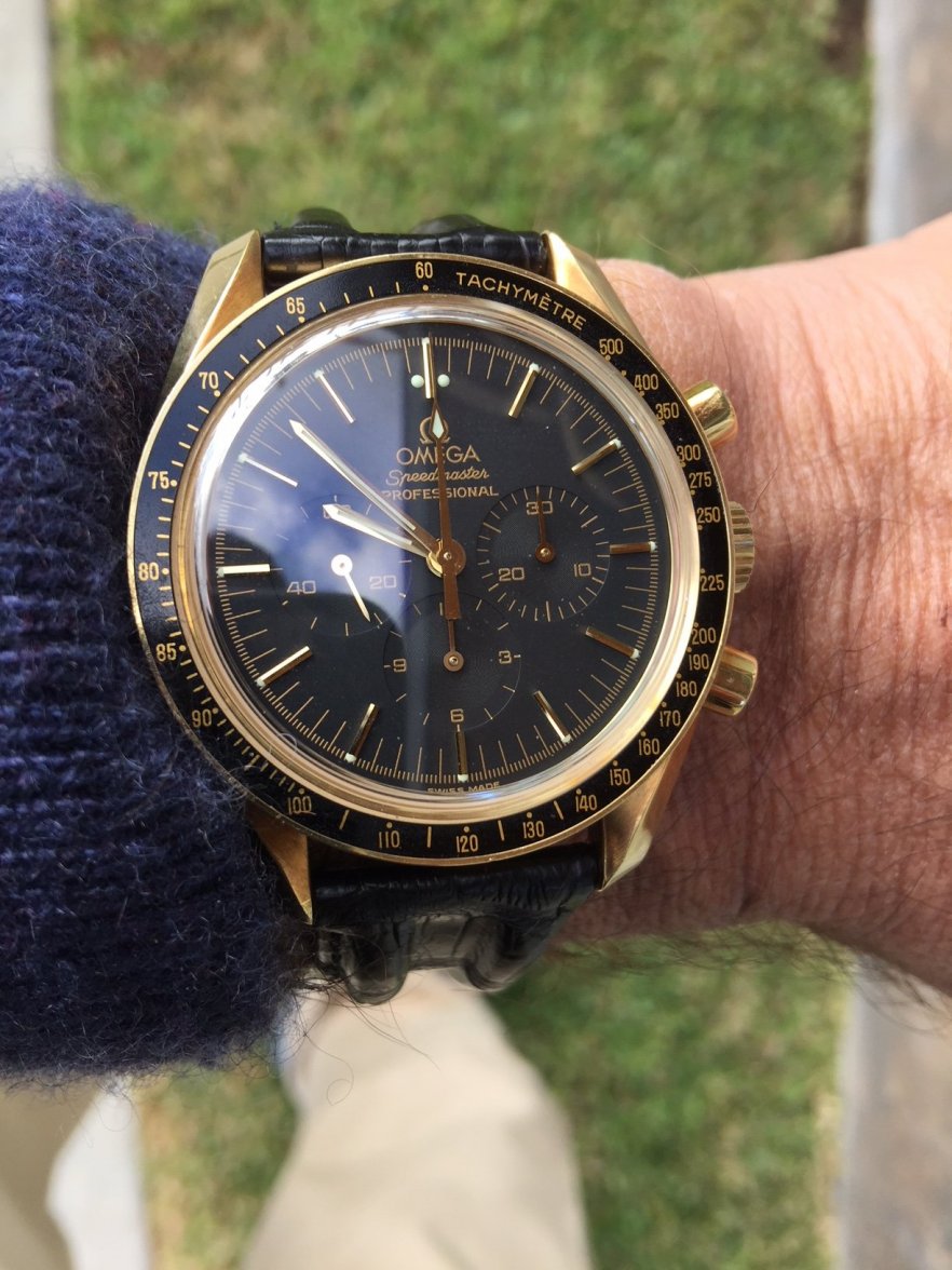 Speedy gold 11.18.JPG