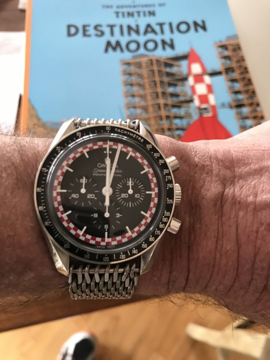 Omega TinTin.JPG