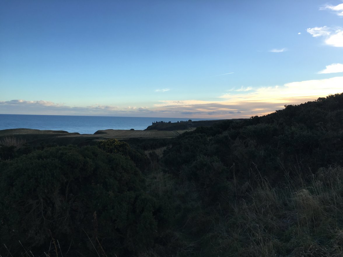 IMG_8146.JPG IMG_8146.JPG