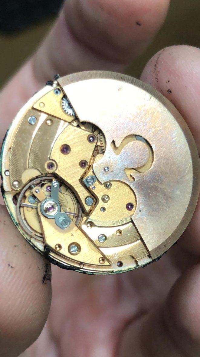 WhatsApp Image 2018-12-26 at 10.16.06 (1).jpeg