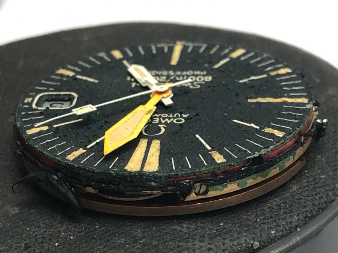 WhatsApp Image 2018-12-26 at 10.16.06.jpeg