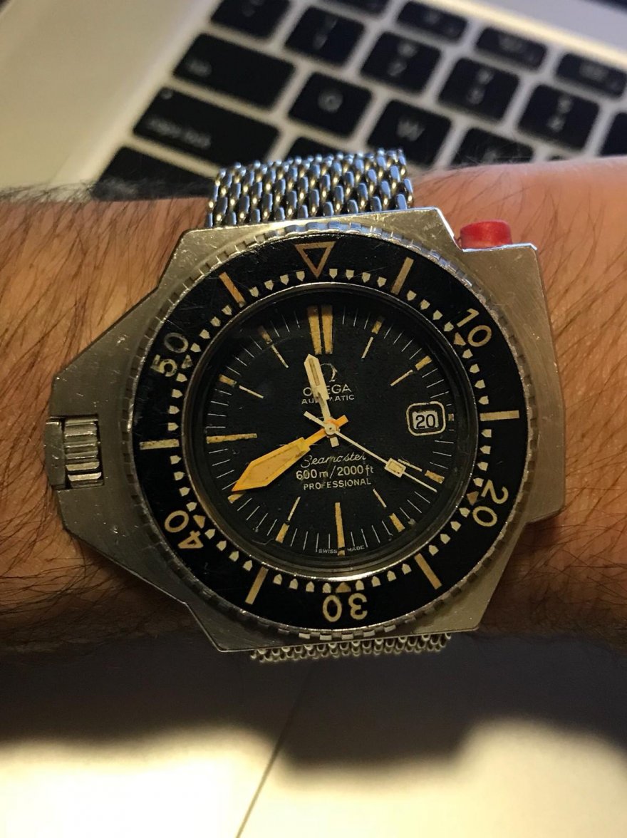 WhatsApp Image 2018-12-26 at 10.16.02.jpeg