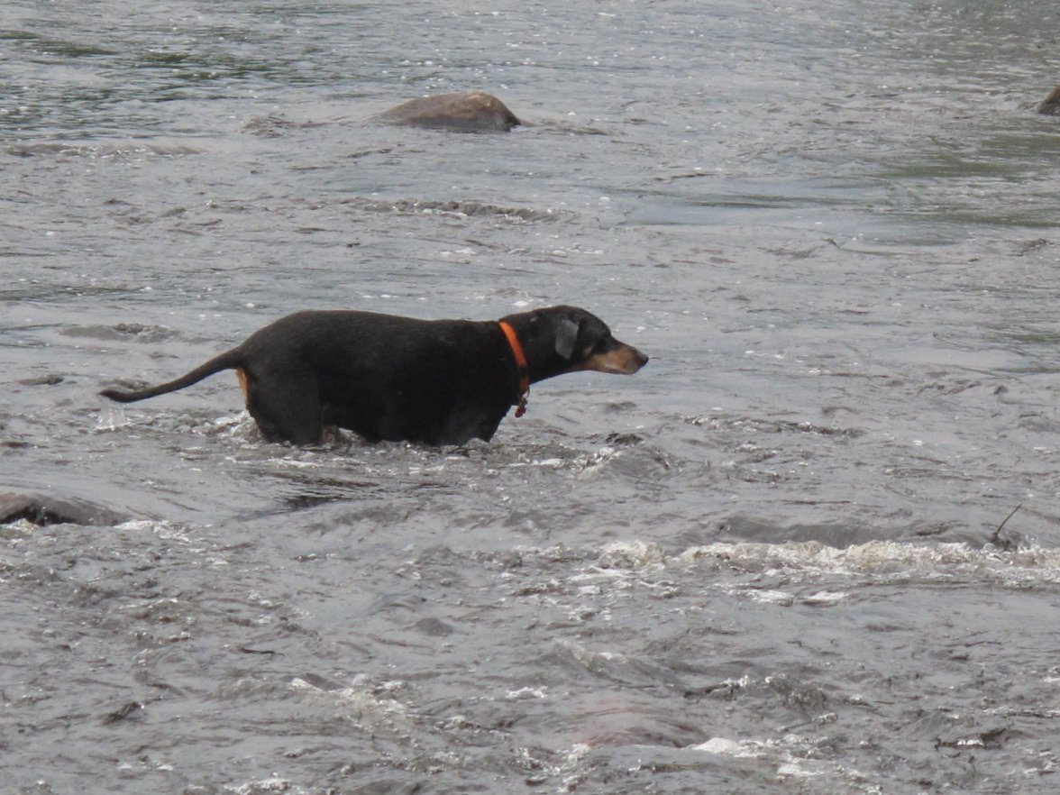 KonPointinAusable2009 copy.jpg