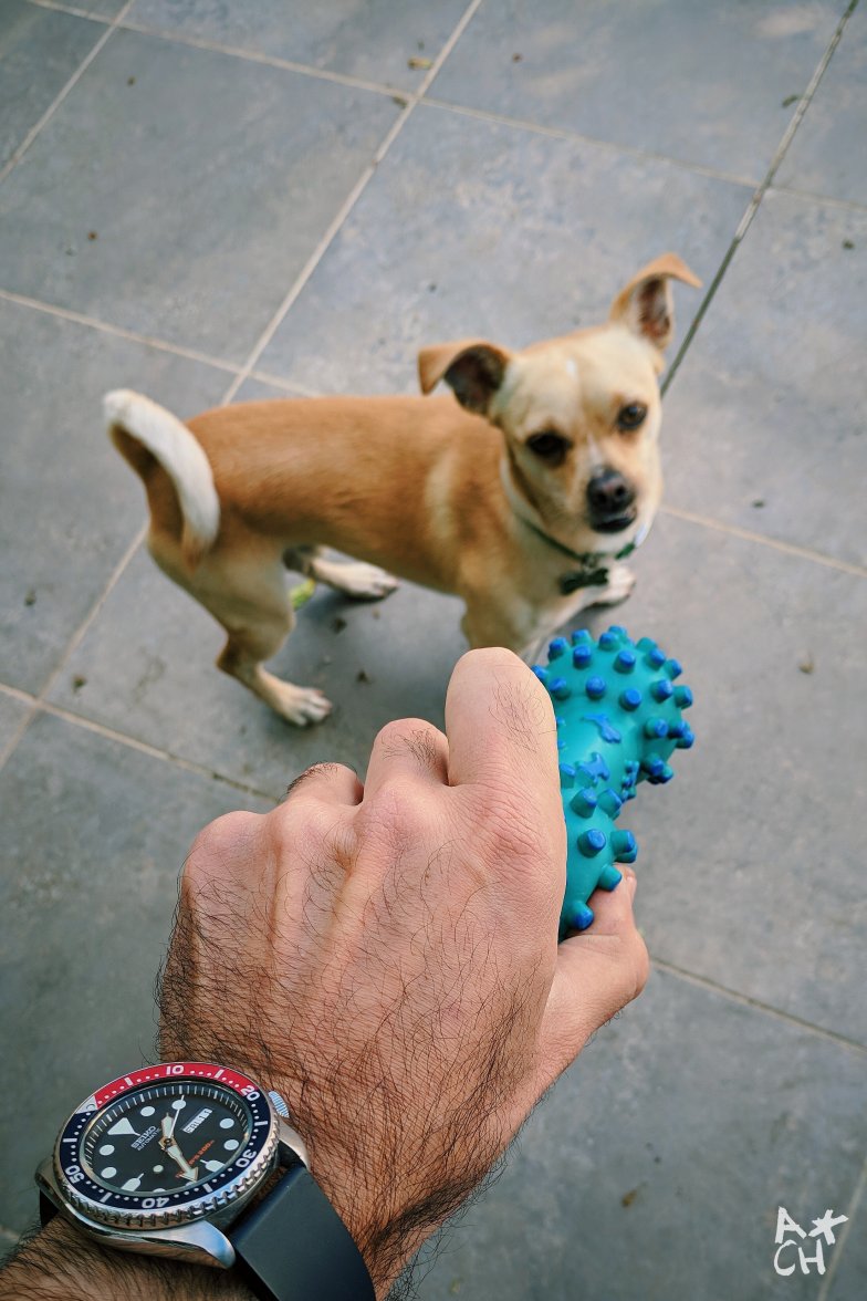 2019-01-11 09.24.40 1.jpg