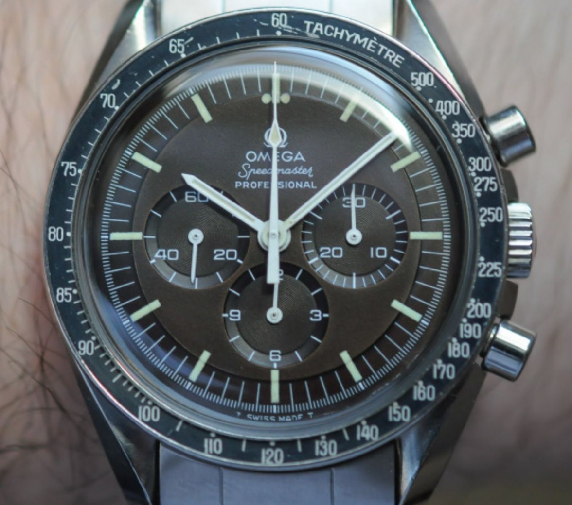 brown2.jpg brown2.jpg